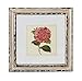 IMAX 47338-4 Lynette Framed Artwork, Set of 4