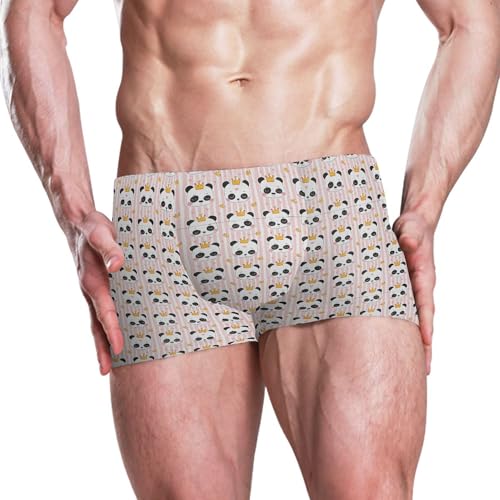 Cute Panda Mens Swim Trunk Swimwear Bathing Suit Swim Brief Square Leg Board Short S B04041922