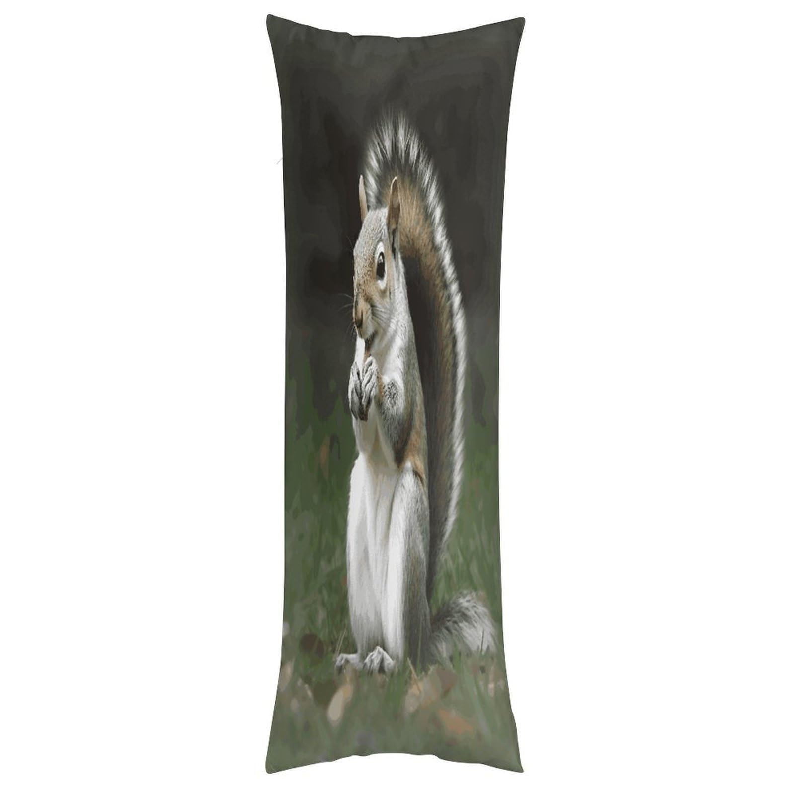 LDGSUPH Squirrel Pillow Cases Soft Pillowcase with Invisible Zipper Wrinkle Resistant Pillow Covers Breathable Removable Pillow Protector for Bed Sofa Car 20"x54"