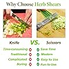 2026 Upgraded Herb Scissors, Effortless Herb Shears Cutter Tool with Sharp Stainless Steel Blades for Fresh Herbs, Must-Have Kitchen & Cooking Gadget, Green #3