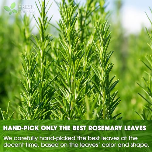 Image of FRESHDRINKUS, 31 Rosemary Leaf Tea Bags, 100% Natural and Pure Rosemary Dried Leaves, Pure Herbal Tea, No Additives, No Caffeine, No Gluten, Vegan.