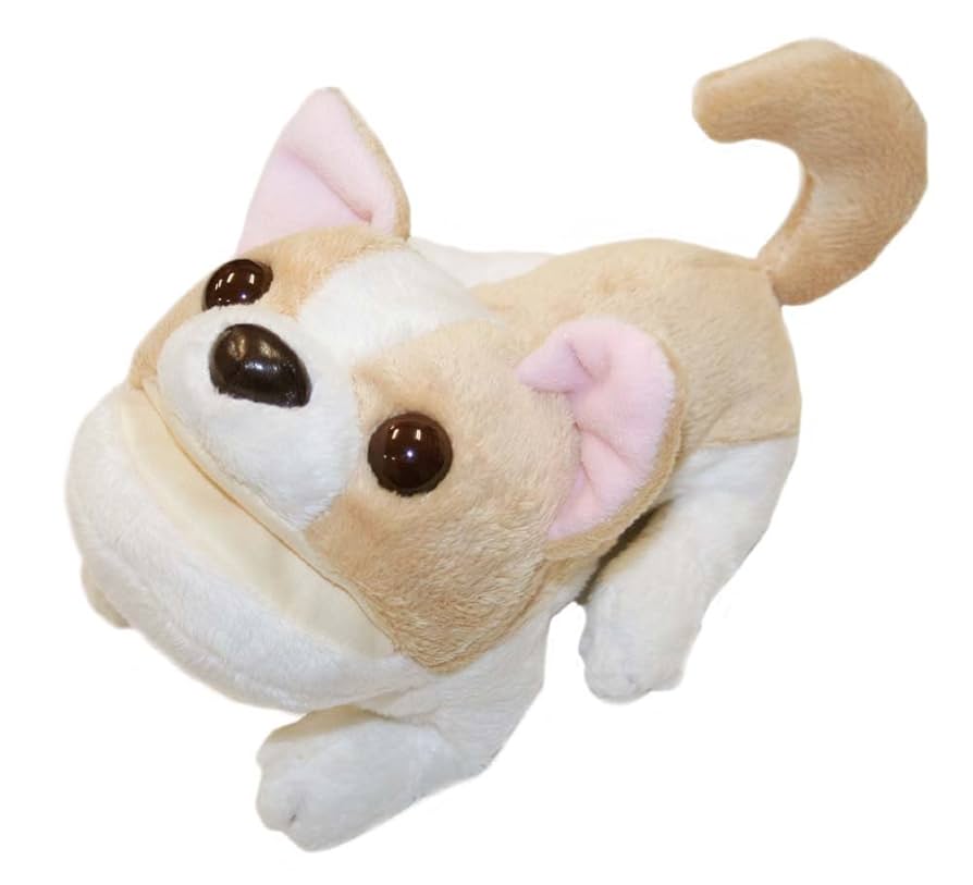 Bたろう様❤チワワ メガネスタンド♡ Bたろう様❤チワワ メガネスタンド♡