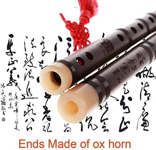 Ns Musical Professional Dizi Chinese Instrument Rosewood Dizi E Key (Nse1223125) #TOP4