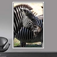 Framed Canvas Wall Art Zebra Animals Dramatic Farmhouse/Country Living Room Multicolor Photography Zebra - 16x24 inches