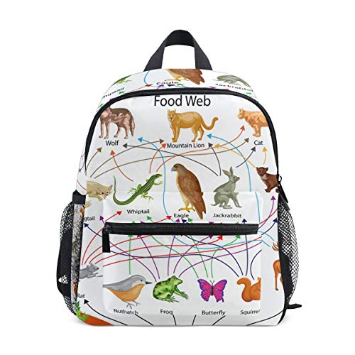 Preisvergleich Produktbild CPYang Rucksack für Kinder, biologische Tierfutter, Webschultasche, Kindergarten, Kleinkinder, Vorschulrucksack für Jungen und Mädchen