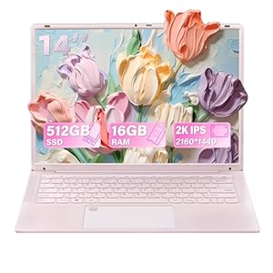 14,1 Zoll Laptop Pink, 16 GB RAM, 512 GB SSD, N150 Prozessor (bis zu 3,6 GHz), 2K UHD (2160 × 1440) IPS Display, Webcam, WLAN, beleuchtete Tastatur, 6000 mAh Akku, tragbares Studenten Notebook