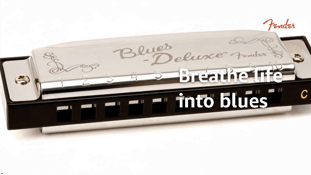 Amazon.com: Fender Blues Deluxe Harmonica, Pack of 7 with case
