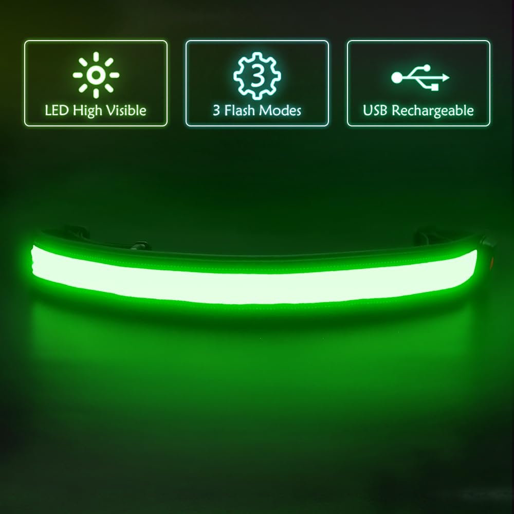 Llumifun - Cinturón LED para correr, cintura LED recargable por USB, cinturón de seguridad con luz para correr, trotar, ciclismo, campamento, caminar (verde) 2