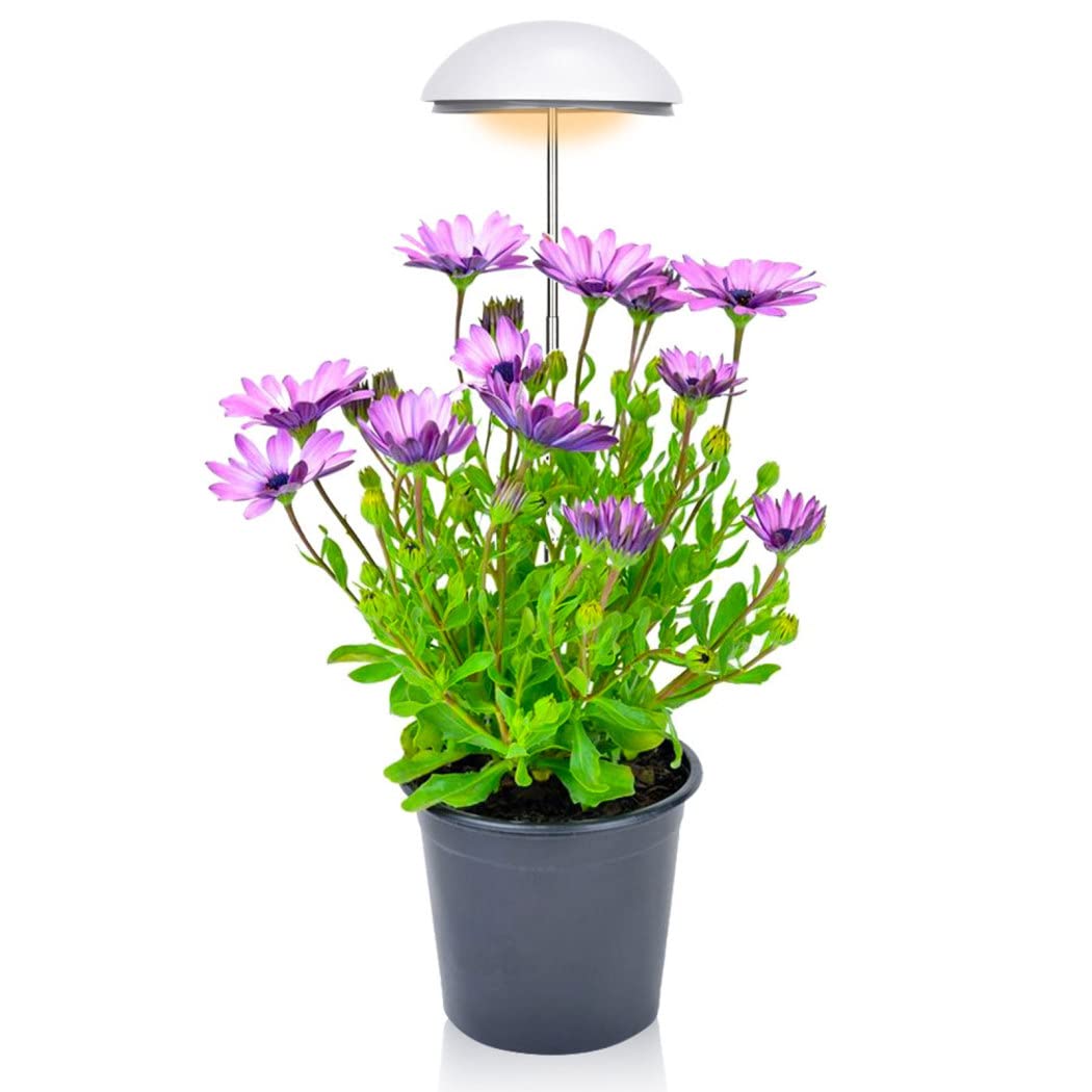 Lampada a LED per la Crescita con Asta Telescopica, 5 Luci per Piante da Interni Spettro Completo con Luminosità Regolabile, Grow Light per Semina, Crescita, Fioritura e Fruttificazione