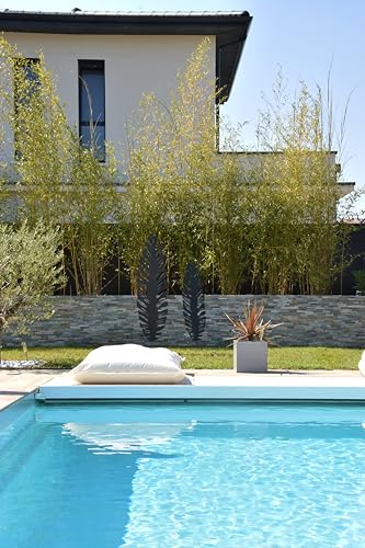 Louis Moulin Deko aus Metall zum Einpflanzen Blatt 30 x 100 cm – Anthrazit