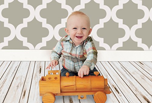 Ella Bella Photography Backdrop Paper, Mediterranean - Gray, 48" X 12', 1 Roll #TOP1