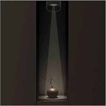 Amazon.co.jp : 工業用8°/15°/24°ナロービーム天井スポット