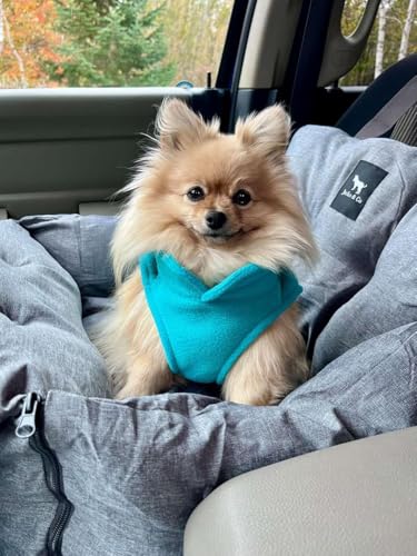 Image of JACKO & CO - Fleece Vest Dog Sweater with Leash Ring - Soft, Warm & Lightweight Pullover Coat for Small & Medium Dogs, Puppies & Cats - Cozy Fall /Winter /Spring Pet Jacket (Turquoise, XXL 25-35lbs)