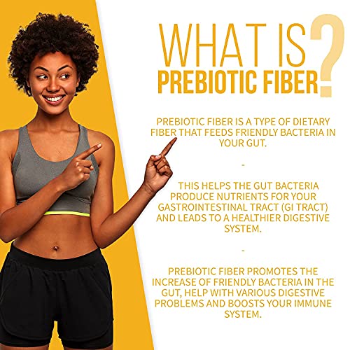 GoBiotix Prebiotic Fiber Boost Powder | Support a Healthy Gut