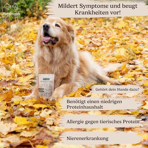 Hunderunde – Hundehappen Schlafmütze 3×125 g – vegane Hundeleckerli mit Hanf, Baldrian & Kamille – reich an B-Vitaminen – glutenfrei & beruhigend – ideal für Sensible Hunde – entspannende Hundesnacks