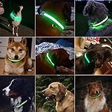 Hunde Halsband, LaRoo Blinkender LED Hunde Halsband Sicherheits Hundehalsband - 7