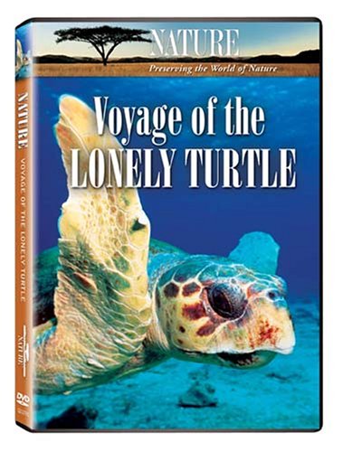 Nature Voyage of the Lonely Turtle