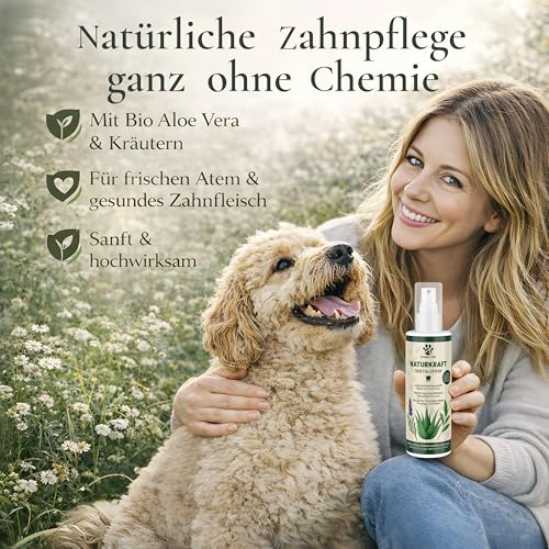 TESTNOTE SEHR GUT Dentalspray für Hunde & Katzen Mit BIO Aloe Vera, natürlichen Kräutern & Minze – Zahnspray Gegen Mundgeruch & Zahnstein Zahnfleischpflege 200 ml Golden Pets