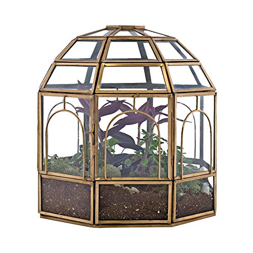 Urban Born Birdcage Large Glass Terrarium â€” 10" x 9" x 9" (Brass)