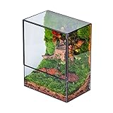 NCYP Close Glass Terrarium with Door - 7.8 x 5.1 x 9.8 Inches Geometric Landscape Clear Planter for Succulent Plants - Indoor Tabletop Centerpiece, Garden Decor (Terrarium Only)