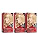 Revlon Colorsilk Beautiful Color, Ultra Light Natural Blonde, 3 Count
