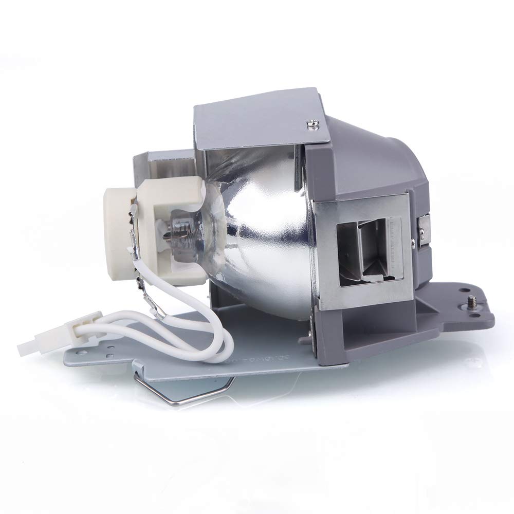 Amazon.com: KAIWEIDI RLC-079 Replacement Projector Lamp for
