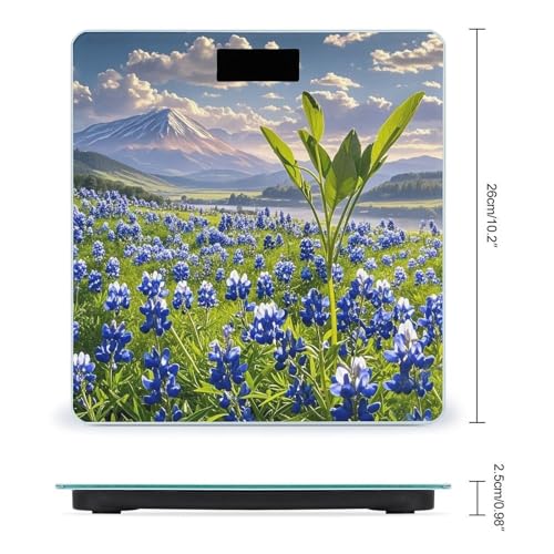 Balanza digital para baño con vidrio templado y pantalla LCD miniatura 2