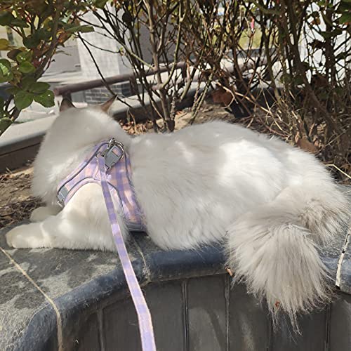 Patgoal Puppy Harness, Cat Harness And Leash For Walking Escape Proof, Small Dog Harness And Leash Set No Pull, Xs Dog Harness With Reflective Strap, Soft Padded Vest Harness For Puppies (M, Purple) #TOP1