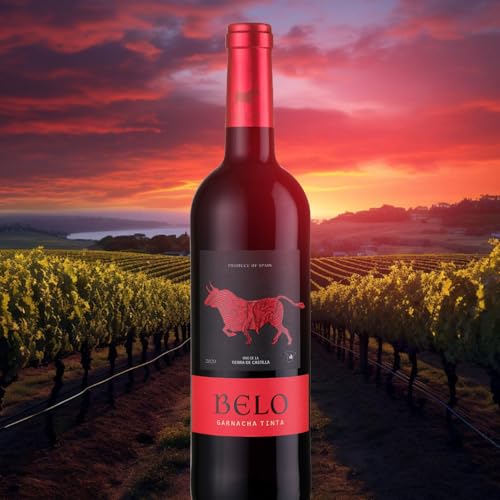 Vinho Tinto Espanhol Belo Garnacha 750ml
