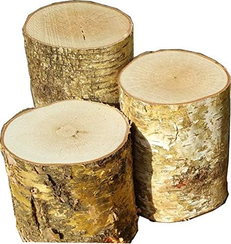 3 Wood Turning Blanks Kiln Dried Birch Roundwood Logs Circular Turning Rounds