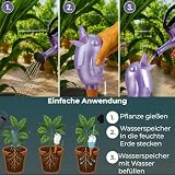 Scheurich Dozownik wody Bördy XL | 2 x fioletowy | pojemność 220 ml | kula nawadniająca duża z glinianą nóżką | dozownik wody do roślin pokojowych i kwiatów, terakota, łodyga