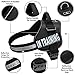 Service Dog in Training Vest - Adjustable No Pull Dog Harness with Patches. in Training Dog Vest for Service Dogs Small, Medium and Large Easy On/Off Dog in Training Harness for Service Dog Training