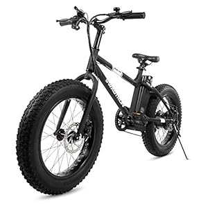 Swagtron EB-6 Bandit E-Bike 350W Motor, Power Assist, 4” Tires, 20” Wheels, Removable 36V Lithium Ion Battery, Dual Disc…