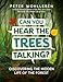 Can You Hear the Trees Talking?: Discovering the Hidden Life of the Forest