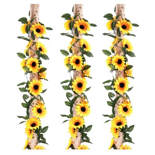 Ђ܂  3{ Ђ܂̓  ͂Ȃ Tt[̓ lH Ẳ Tt[̉ ԗ 뉀 Ă̏  ~j}Xg Vv Ƃ̑ ̓ hV̓  p[eB[ INS ʐ^Be ԉ lHϗt