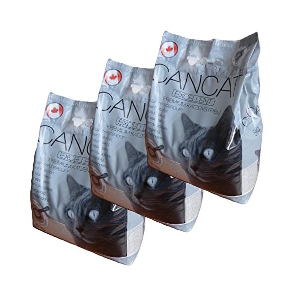 3x8 kg CANCAT Excellent kanadische Premium Katzenstreu Klumpstreu - Babypuderduft innerhalb D (außer Inseln)