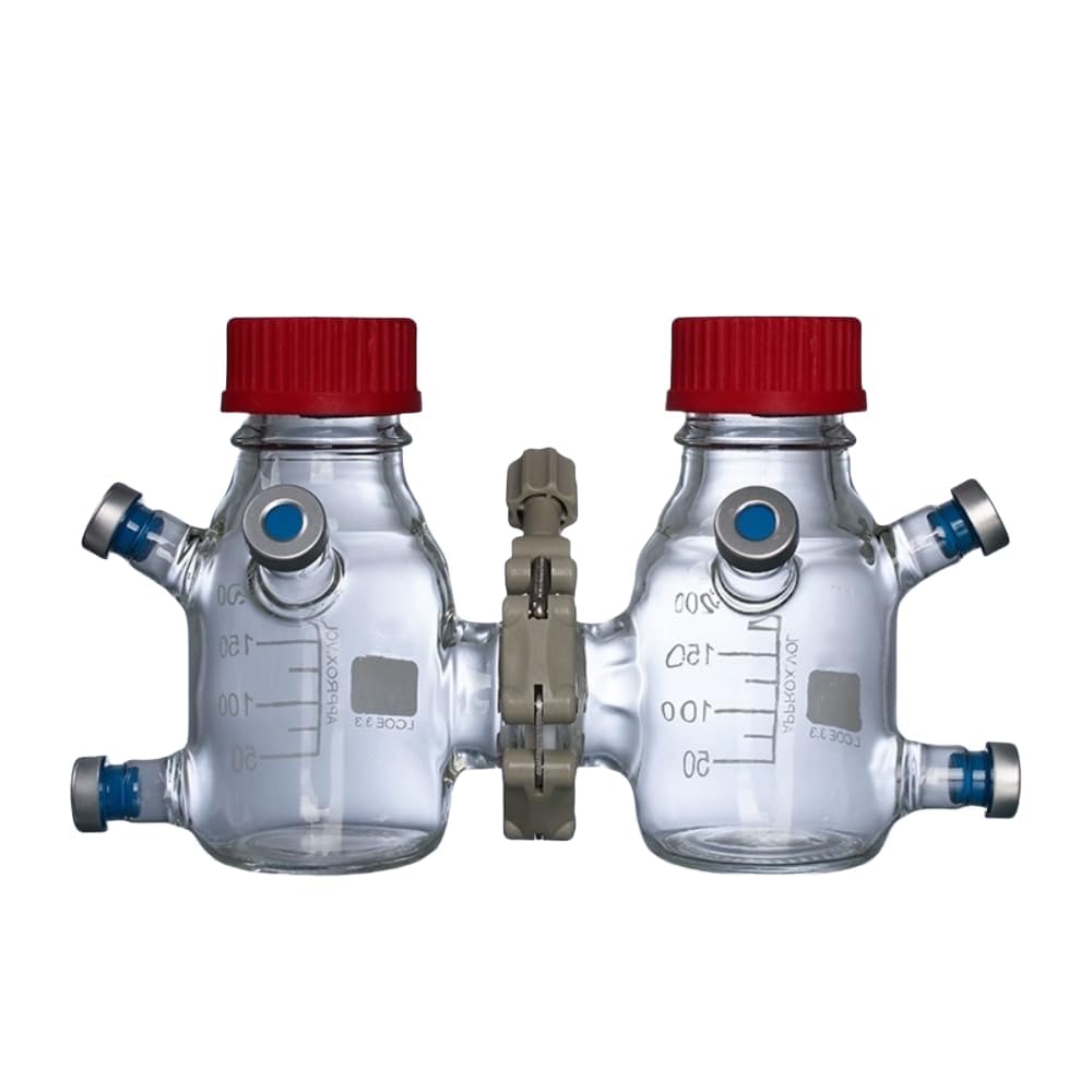 Reactor de alicates esterilizable hasta templado, doble capa de vidrio de borosilicato para estudios electroquímicos microbianos, 250 ml