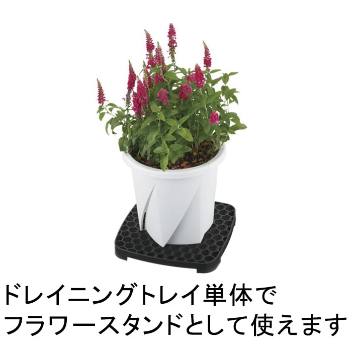 Amazon.co.jp: 【バケツ・ドレイニングトレイセット】水やり革命 水