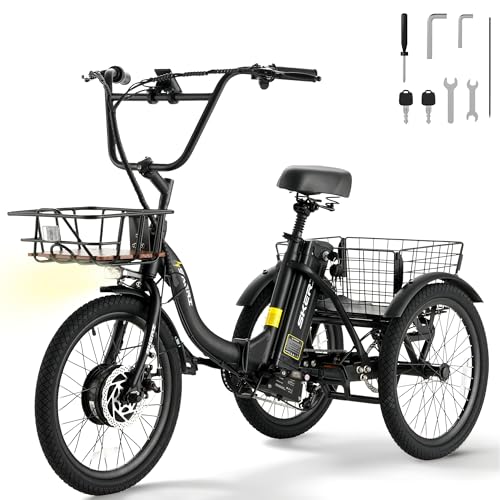 Skeri E Trike Electric Bike, 500W(Peak 1000W) Electric Tricycle for
