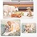 Edumov Hundespielzeug Quietschend, Waschbares Kauspielzeug Hund Unzerstörbar, Robustes Kuscheltier für Welpen und Kleine Hunde, Lustig Dog Toy Dino-Hundespielzeug Weihnachten