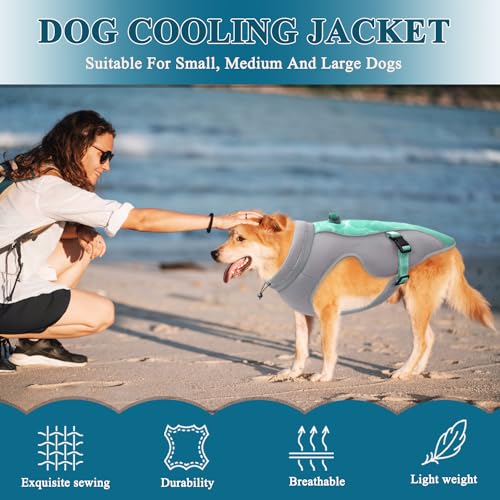 Verbesserte Hundekühlweste mit Sonnenschutz - Atmungsaktive Mesh-Weste für Hunde - Reflektierende Streifen, verstellbare Gurte, mit D-Snap-Geschirr - Ideal für kleine, mittlere und große Hunde, Grün