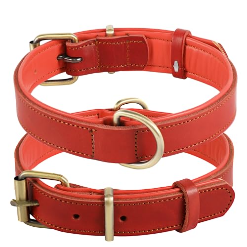 Collier pour Chien en Cuir, Collier pour Chien de différentes Tailles et Couleurs, véritable, Robuste, Confortable, Rembourrage intérieur Doux avec Design...