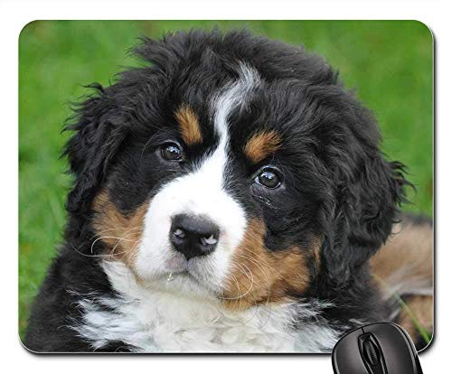 ゲームマウスパッド、マウスマット、Bernese Mountain Dog犬Big Dog Animal Green 1