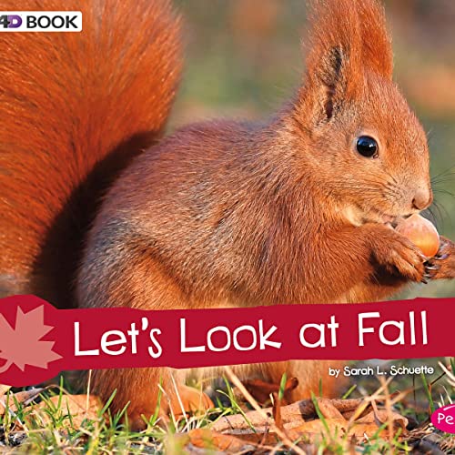 Let's Look at Fall by Sarah L. Schuette episode artwork