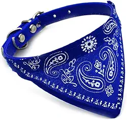 Coleira Bandana Para Cachorros E Gatos Pet Porte Pequeno E Medio Coleira Estilosa (Azul)