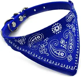 Coleira Bandana Para Cachorros E Gatos Pet Porte Pequeno E Medio Coleira Estilosa (Azul)