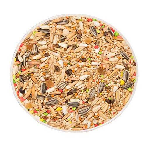 Ração Zootekna para Calopsita Brasileirinho 400g
