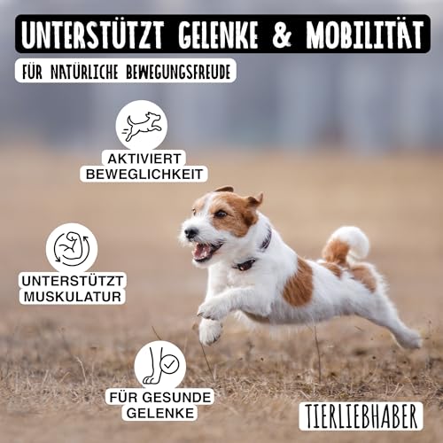 TIERLIEBHABER – Gelenk Drops mit Grünlippmuschel Hund – Von Tierärzten entwickelt – Gelenktabletten Hund geeignet als Hunderunde Futtertopping – Hundeleckerli mit Teufelskralle, MSM & Kollagen