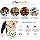 PETCUTE 2 Stück Hunde-Kniebandage für Zerrissene ACL,Kniestütze für Hunde,Beinstütze bei Bandverletzungen,Verstellbare Kniepolster für Haustiere Starke Stabilität Schutz der Hinterbeine für Hunde