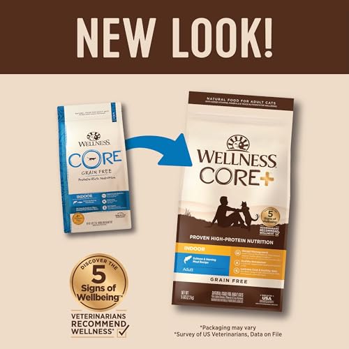 Image of Wellness CORE+ Adult Dry Cat Food for Infoor Cats, Natural, Grain Free Kibble, Salmon and Herring Meal Recipe, 5 lb Bag
